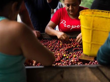 Colombia El Carmen Nº 50
